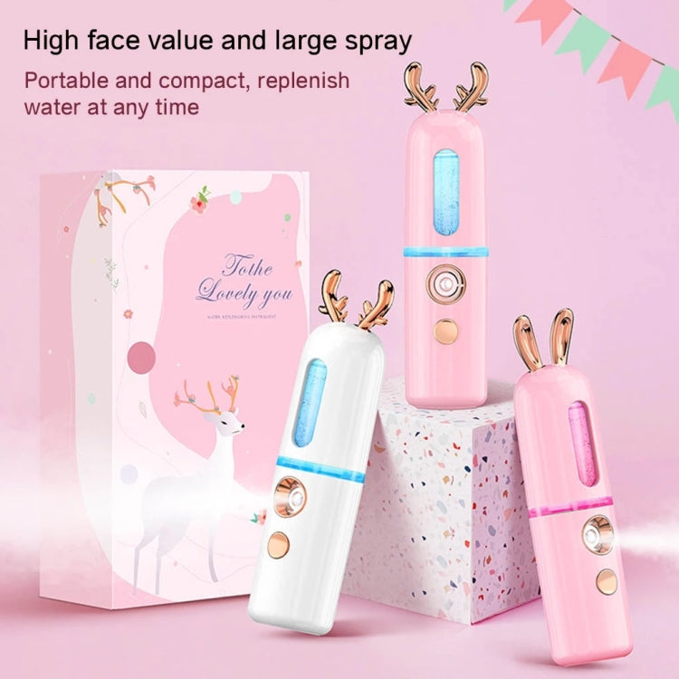 Facial Steamer Nano Spray Water Replenishing Instrument Portable Cold Spray Machine Charging Beauty Instrument Alcohol Disinfection