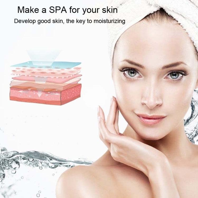 Facial Hydration Instrument Air Humidifier USB Beauty Cold Spray Instrument Auto Alcohol Disinfection Spayer, L20