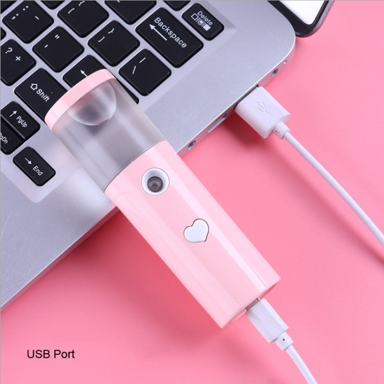 Facial Hydration Instrument Air Humidifier USB Beauty Cold Spray Instrument Auto Alcohol Disinfection Spayer, L20